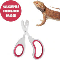 Stainless Steel Bearded Dragon Nail Clippers - Rose Red - image 2