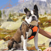Eagloo Dog Harness Medium Sized Dog, No Pull Service Vest with Reflective Strips and Control Handle, Adjustable and Comfortable for Walking, No Choke Pet Harness with 2 Metal Rings, Orange, M