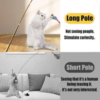 Interactive Cat Wand Toys Set, 2PCS Cat Teaser with 6 Replacement Birds, Feathers & Bells for Indoor Play