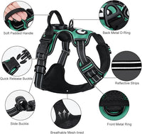 Taglory Light Up Dog Harness, Rechargeable No Pull Dog Vest with 3 Lightning Modes, Reflective Dog Harness with 2 Leash Clips & 4 Adjustable Slide Strips for Large Dogs, Turquoise-Green, XL