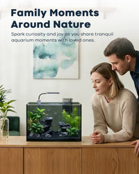 10 Gallon Aquarium Set Glass Fish Tank - 6 Gallon - image 3