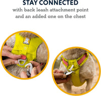 Ruffwear, Hi & Light Dog Chest Harness - Basalt Gray / Medium - image 4