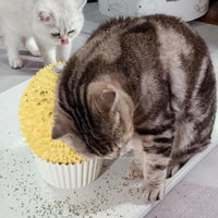 Cat Face Scratcher Wall Corner Massage Comb, Self Grooming Brush – Essentials for Cats - yellow - image 2