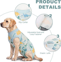Female Dog Recovery Suit After Spay – 3 Patterns, S–2XL