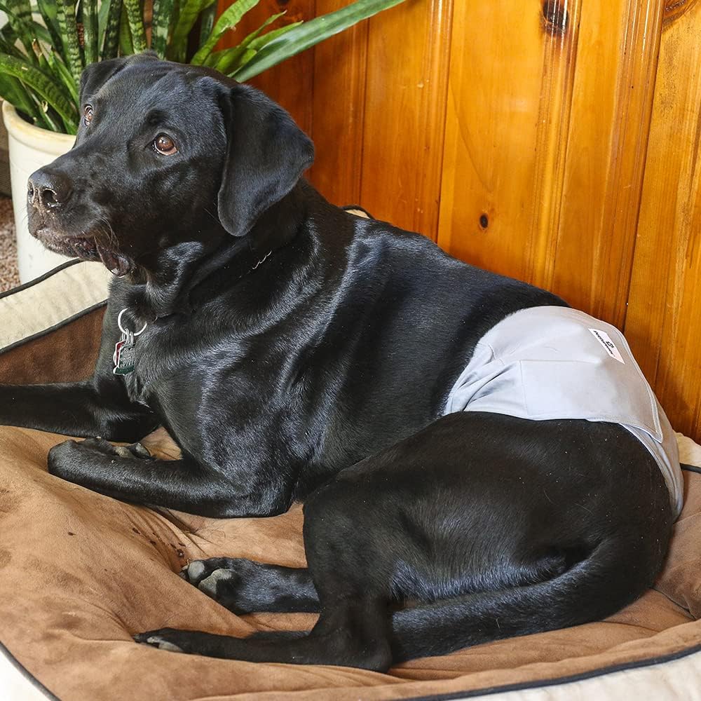 Pet Parents Washable Belly Bands for Male Dogs + Extendrs of Durable - Medium (16-20") / Natural - image 2
