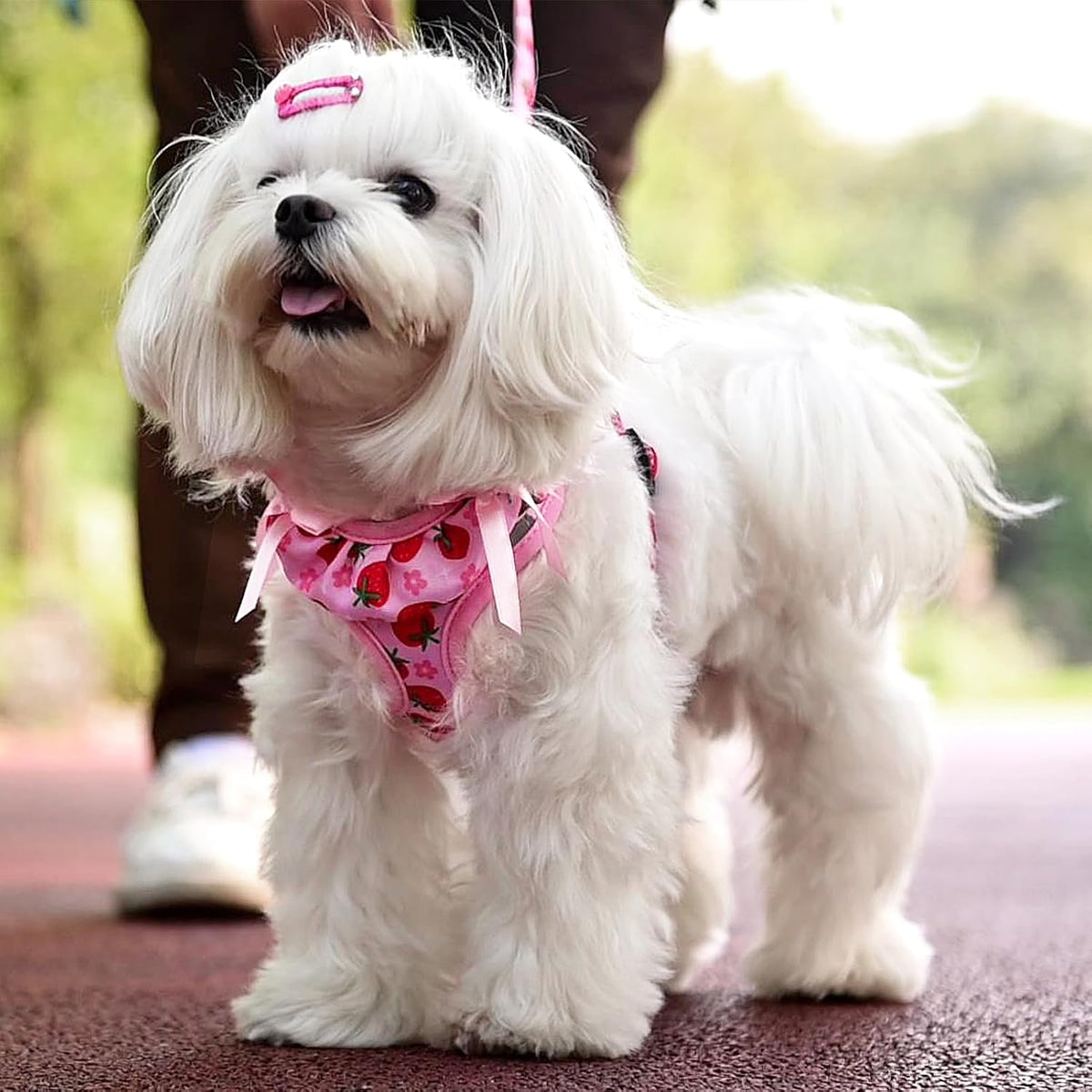 PUPTECK Dog Harness and Leash Set Small Sized - S (13-17lbs, Chest 15"-18") / #2 Pink(Strawberry Print) - image 2