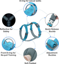 Plutus Pet No Pull Dog Harness - L / Cyan - image 2