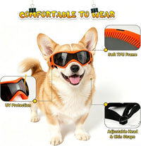 Dog Goggles Small Breed, Dog Sunglasses UV Protection Puppy Eyewear for Small Pet Outdoor Riding - Medium / Orange - image 3