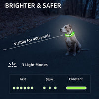 Super Bright LED Dog Collar, Waterproof Light up Collars – Essentials for Dogs - M (Width:1",Length:14.5" - 19.5") / Green - image 2