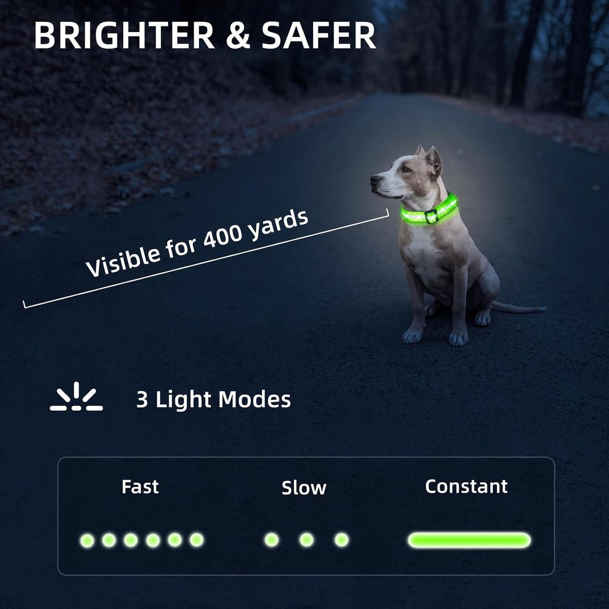 Super Bright LED Dog Collar, Waterproof Light up Collars – Essentials for Dogs - M (Width:1",Length:14.5" - 19.5") / Green - image 2