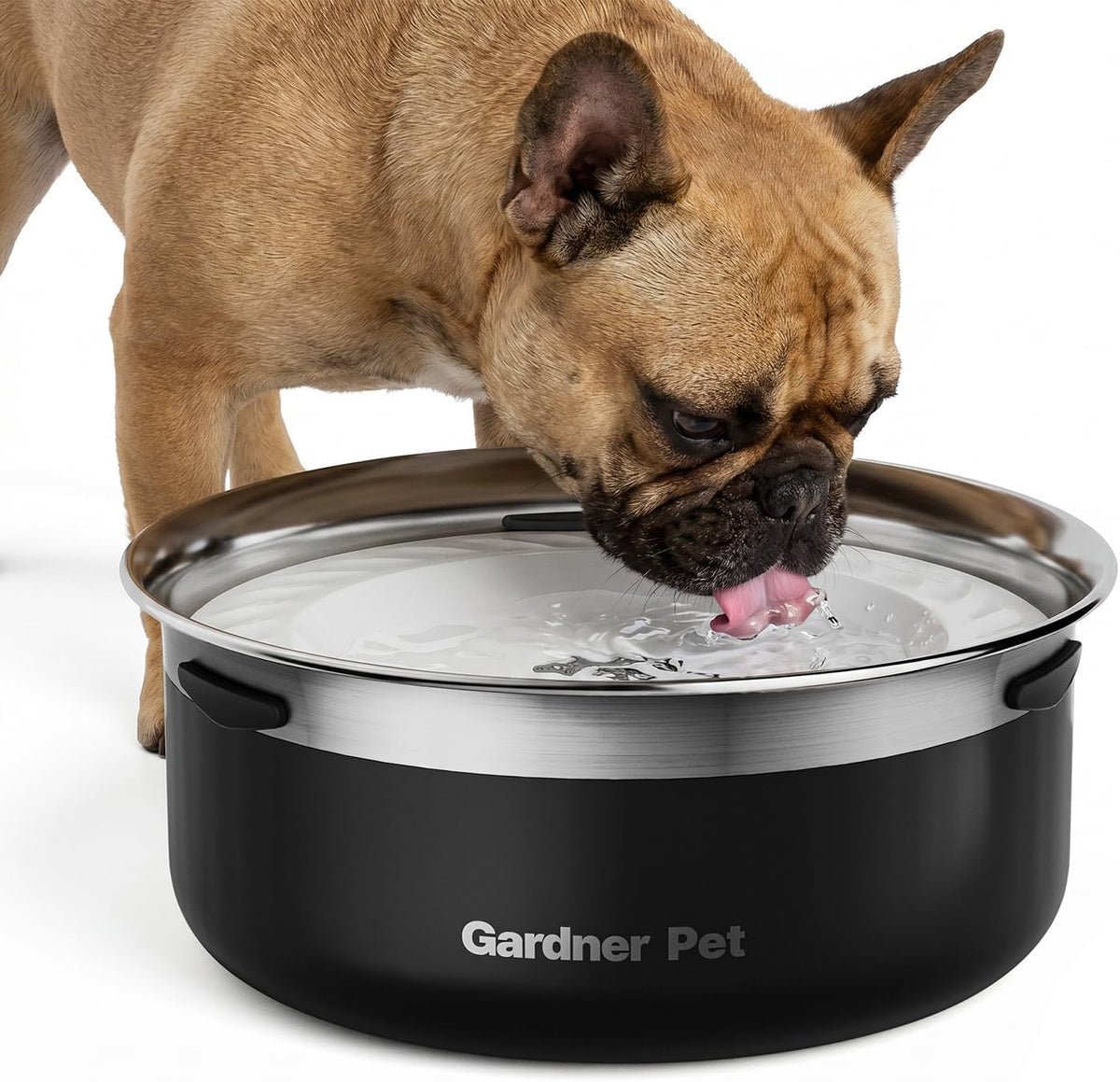 Gardner Pet Dog Bowls 1 Gallon Stainless Steel Dog Water Bowl – Essentials for Dogs - Black / Small (2L)