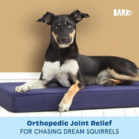 Barkbox Orthopedic Dog Bed with Memory Foam, Premium Comfort for Dogs and Puppies, Dog Bed for Joint Relief and Restful Sleep, Durable and Easy to Clean - Navy, Medium