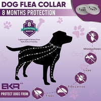 Flea Collar for Dogs – 2 Pack 16 Month Natural Flea & Tick Prevention Dog Flea Collar Adjustable One Size Fits All, Safe and Effective