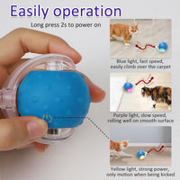Giociv Interactive Cat Toys Ball for Indoor Cats Fast Rolling on - image 4