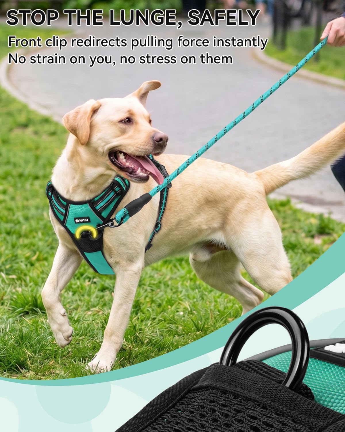 Joytale No Pull Dog Harness & Seat Belt, Easy On 3-Buckle, L - Teal / Medium - image 4