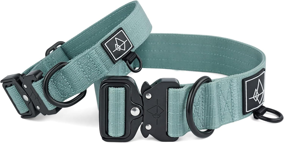 MADE TO ROAM Explorer Dog Collar - Florida Seaside / Size 1 - image 2