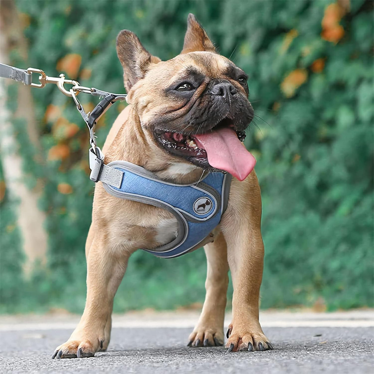 Dog Harness with Leash Set, No Pull Adjustable Step in Pet Vest – Essentials for Dogs - Blue / L - image 4