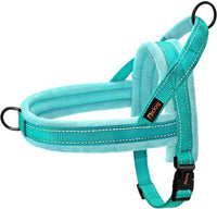No Pull Dog Harness for Small Dogs, Soft Flannel Padded, XS - L:chest 27-33" / Teal