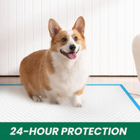 100 Count Large Dog & Cat Puppy Pee Pads - 30" x 28" (200 Count) - image 2