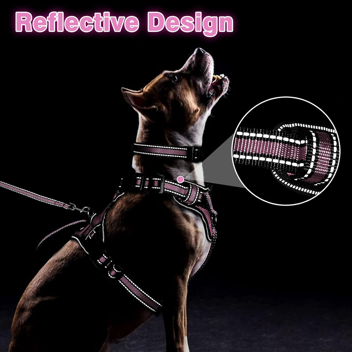 WINSEE Pet Harness Collar and Leash Set - Small / Pink - image 2