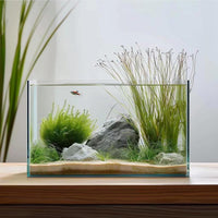 Vimvins 3 Gallon Glass Fish Tank - 3 Gallon