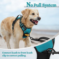 rabbitgoo Dog Harness No Pull with 2 Leash Clips, Adjustable Soft Padded, Reflective Oxford No Choke Pet Vest with Easy Control Handle for Medium Sized Dogs, Teal, M