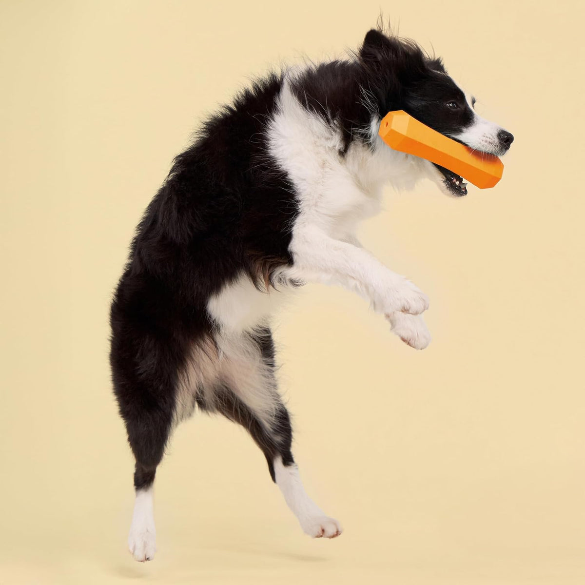 Playology Squeaky Chew Stick Scented Dog Toy - Jumbo / Cheddar Cheese - image 3