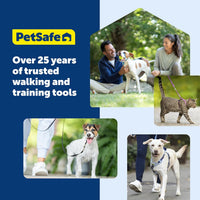 PetSafe Nylon Dog Leash, Strong, Durable - 1 in. x 6 ft. / Red - image 2