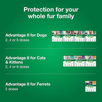 Advantage II Small Cat Vet-Recommended Flea Treatment & Prevention | Cats 5-9 lbs. | 8-Month Supply