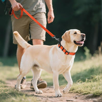Joytale Reflective Dog Collar, Adjustable Neoprene Padded - Large (Pack of 1) / Orange - image 3