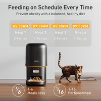 Automatic Cat Feeder, Over 180-day Battery Life - 4L-Black / Basic - image 3