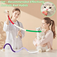 Cat Toys 12PCS Catnip Toy for Indoor Kitten Treat Cats Chew Stick for Dental Cleaning Teeth Kitten Silvervine Rope Kitty Feather Snack for for Kick Molar Scratch Self Play Interactive Boredom