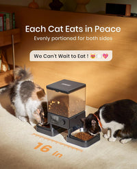 oneisall Automatic Cat Feeder for 2 Cats Pets - Black / Standard - image 2