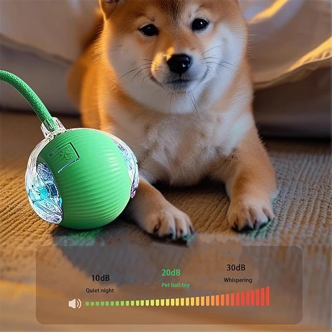 2 Packs Interactive Cat Toy Ball for Indoor Cats - 3-Speed Smart Rolling Ball with Flashing Lights, USB Rechargeable Automatic Motion Kitten Toys for Bored Adult Cats & Playful Kittens