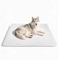 Large Dog Cooling Mat 46"x36", Washable Waterproof Non-Slip, L – Essentials for Dogs - Large 46"x36"