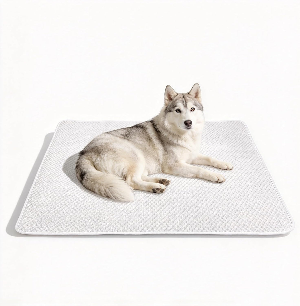 Large Dog Cooling Mat 46"x36", Washable Waterproof Non-Slip, L – Essentials for Dogs - Large 46"x36"