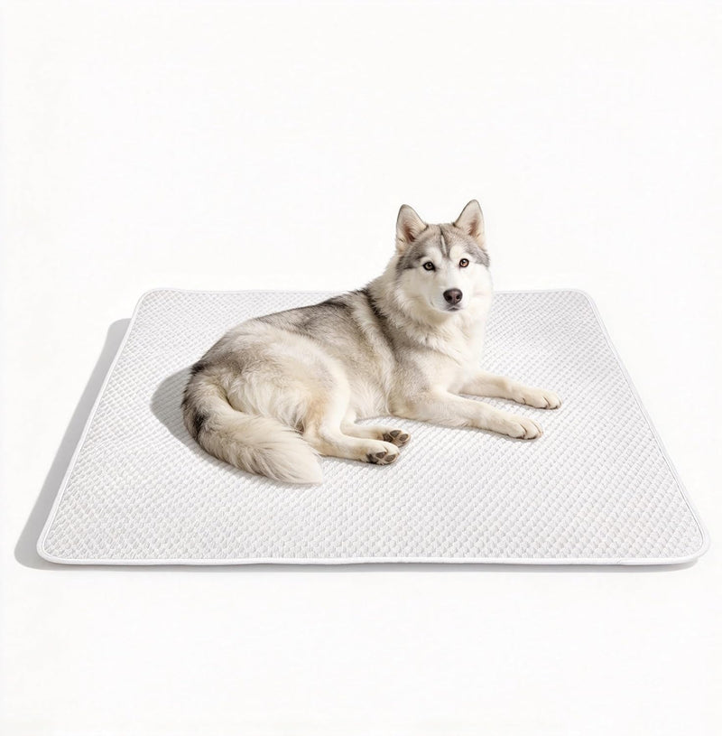 Large Dog Cooling Mat 46"x36", Washable Waterproof Non-Slip, L – Essentials for Dogs - Large 46"x36"