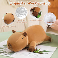 SQEQE Weighted Black Cat Plush - Capybara / Small(9.8 Inch) - image 2