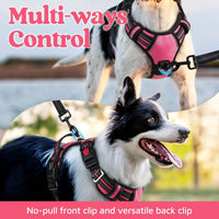rabbitgoo Dog Harness for Large, No Pull 3 Buckles Easy On & Off – Essentials for Dogs - Pink / Large - image 3