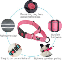Haapaw Escape-Proof Martingale Dog Collar - Pink / S / 2-Pack Collars - image 3