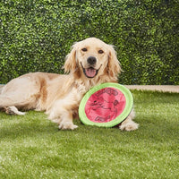 Booda Tail-Spin Flyer 10" Diameter Floppy Dog Frisbee – Essentials for Dogs - image 2