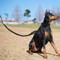 Tactical Dog Collar, Adjustable Military Training Nylon Pet Collar, Black L – Essentials for Dogs - Black Set / Large :Width 1.5",Neck 17-20.5" - image 4