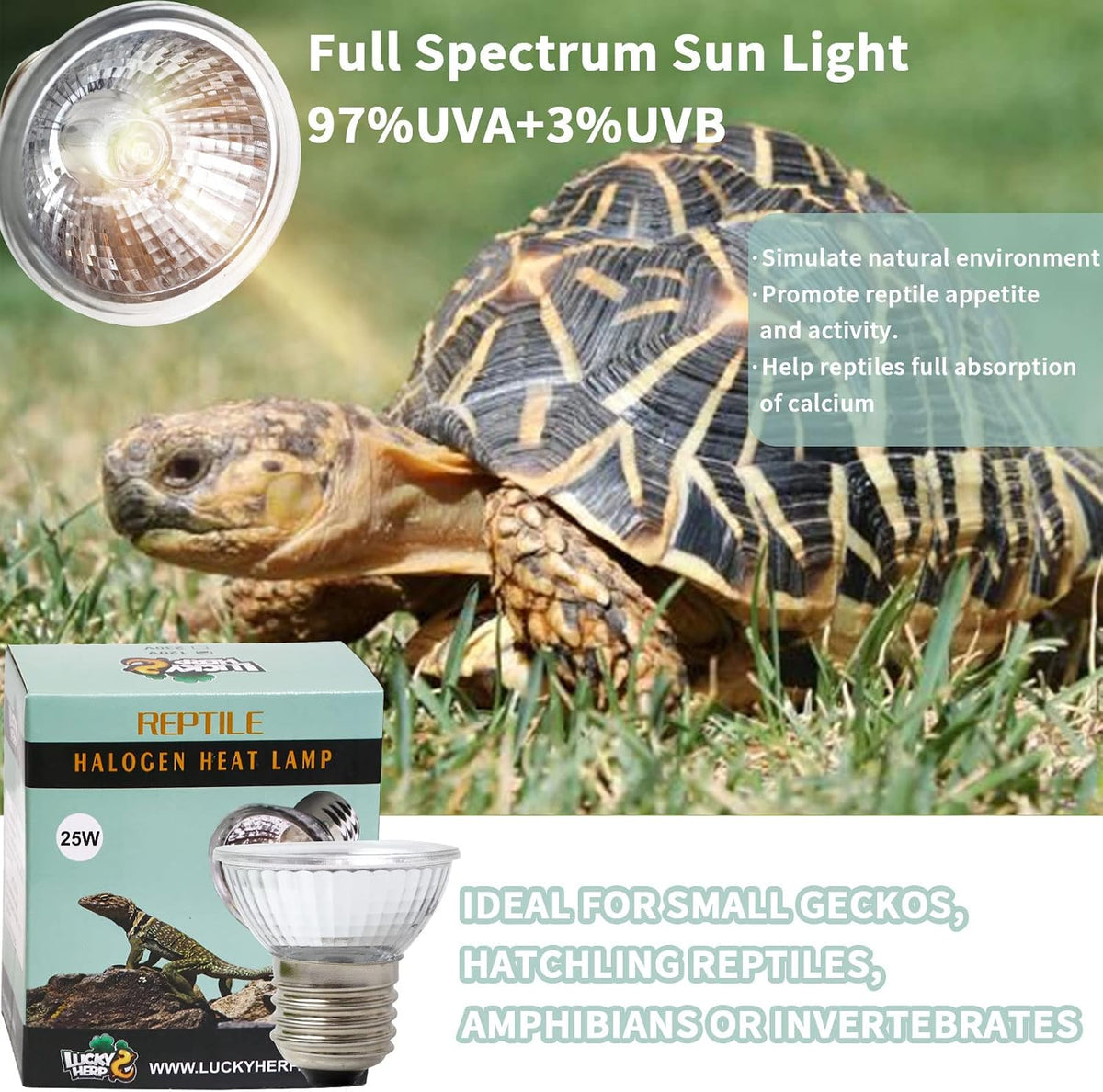 LUCKY HERP Reptile Heat Lamp with Clamp - 25*4 - image 3
