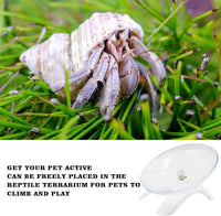 Hermit Crabs Wheel Toy, Hamster Running Wheel Toys - Large / White - image 4