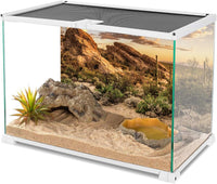 36x18 in Desert Reptile Habitat Backdrop Oasis Cactus Terrarium - 30x18 inches - image 3