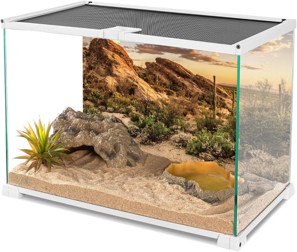 36x18 in Desert Reptile Habitat Backdrop Oasis Cactus Terrarium - 30x18 inches - image 3