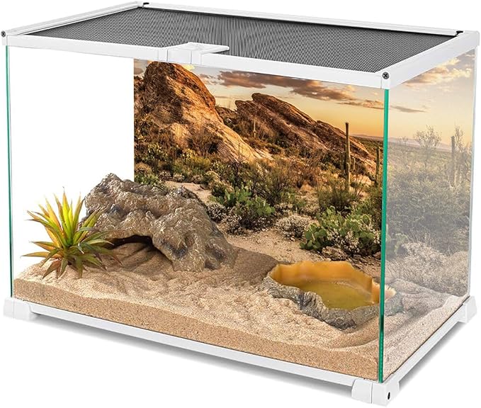 AWERT Reptile Habitat Background Blue Sky Oasis Cactus Sun and Desert Terrarium Background 48x24 inches Durable Polyester Background