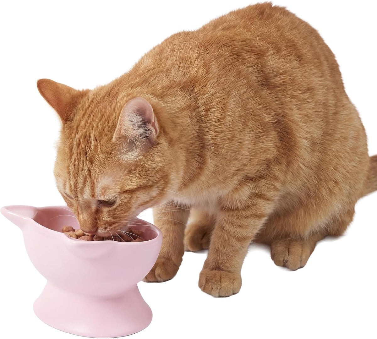 Kitty City Elevated Cat Bowls - Pink / Small