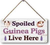Big Hamster Ball & Guinea Pig Hideout - Stuffed Animals & Accessories for Guinea Pig Cage - 12x6 In Wooden Sign