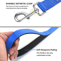 6 FT Basic Dog Leash for Medium Dogs - Blue / Large : 1" x 6 FT - image 3